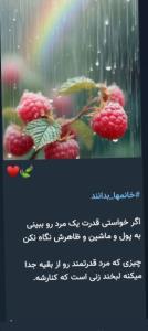🌹🌹🌹