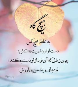 مرد جنوب 