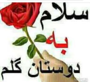 شبتون منور به نور الله 