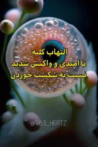 🍂پیام کلیه ها🍂
