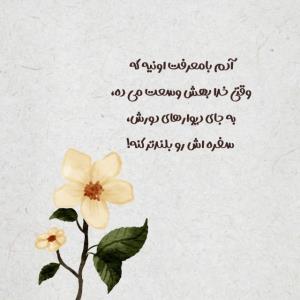 🌹