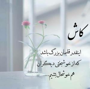 مرد جنوب 