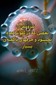 🍂پیام تیرویید🍂