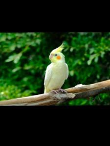 حالتون همیشه خوش😍