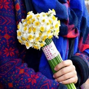 تقدیم تمامی شهدای جنگ اخیر