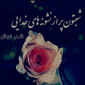 شب بخیر عزیزم انشاالله همیشه شاد باشی انشاالله 