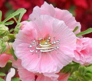 صلوات 🌹🌹🌹🌹🌹