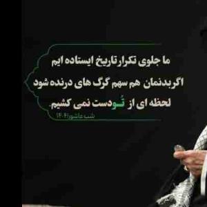 از رهبر دست نمی کشیم
