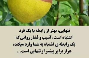 عصرتان خوش👆👆👆👆