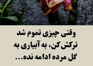 سلام👆👆👆👆👆👆