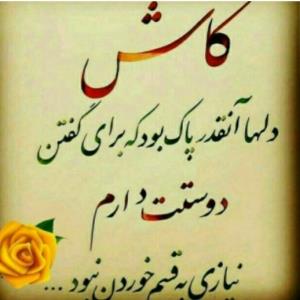 کاشششششش