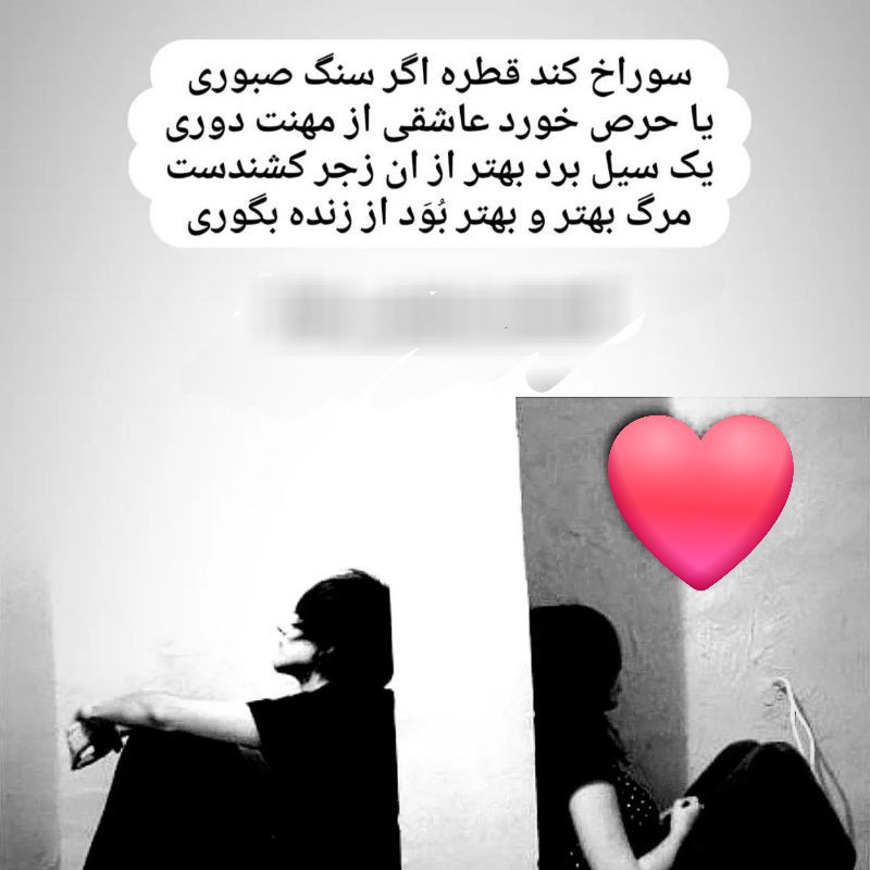 🤲