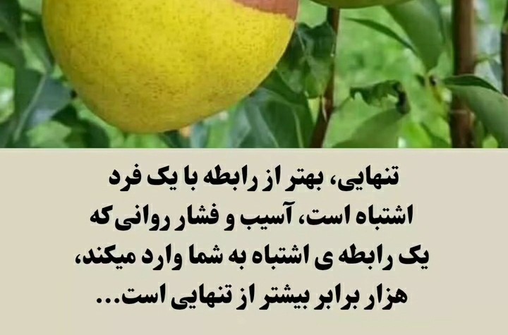 عصرتان خوش👆👆👆👆