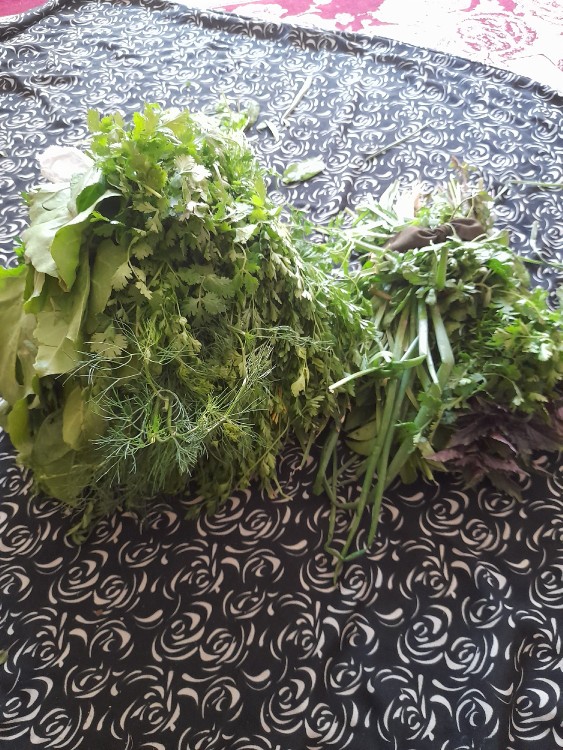سلام دوستان خوب عکاسخونه 🌺سبزی خریدم اول بروم روضه