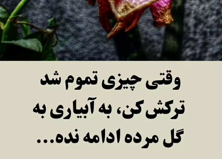 سلام👆👆👆👆👆👆