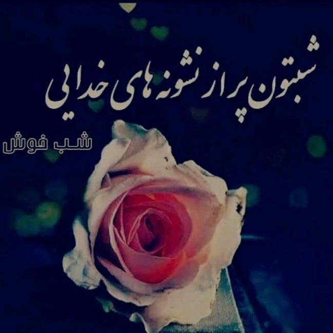 شب بخیر عزیزم انشاالله همیشه شاد باشی انشاالله 