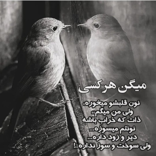ذات خراب