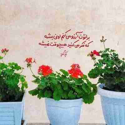 آدم باید ضربه بخوره، زمین بخوره، زخمی بشه، تجربه کنه،

یاد بگیره و بفهمه همه مهربونیا بی‌قصد و غرض و همیشگی نیستن

تا بفهمه توقع نداشته باشه از هیچکس

تا نقاب بزنه و آدم‌های نقاب دار رو تشخیص بده.

آدمی که توی پَر قو بزرگ شده باشه توی دنیا تنهایی دووم نمیاره