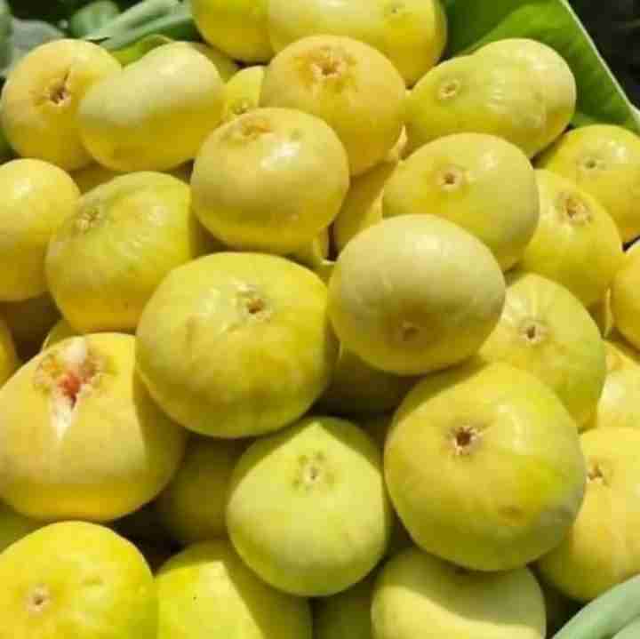 اول صبح جاتون حسابی خالی هست 