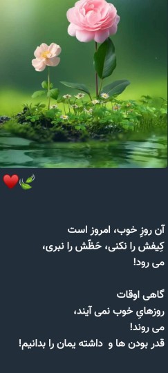 شکر سپاس بیکران به خدای مهربان🌹😊