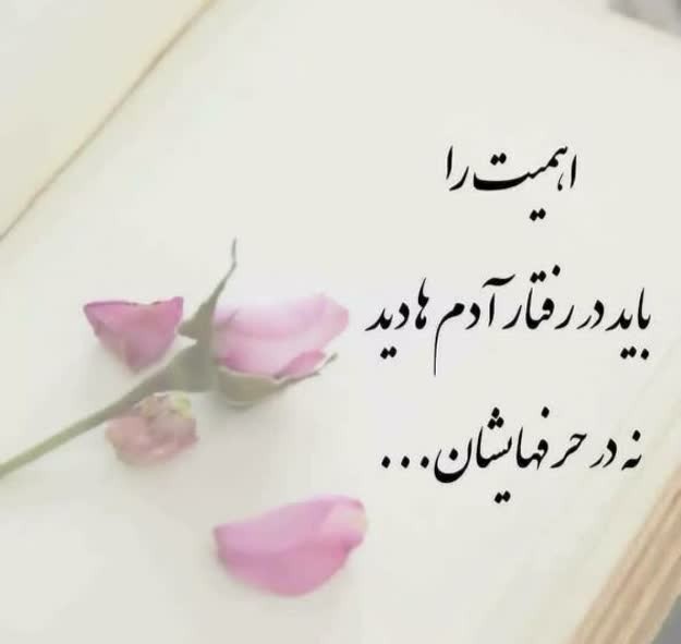 سن سون 