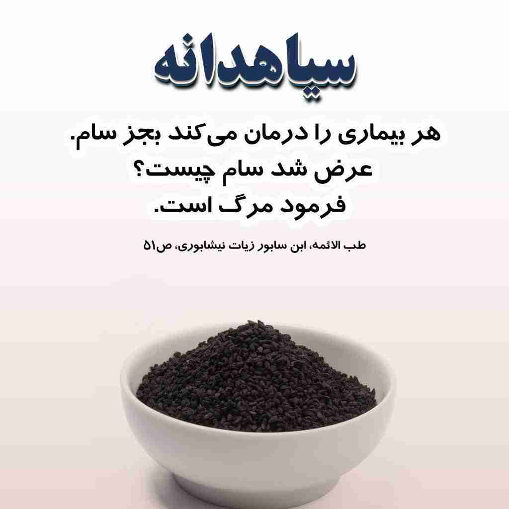 تولستوی یه جمله قشنگ داره که میگه: 
«همه چیز برای کسی که می‌داند چگونه صبر کند، به موقع اتفاق می‌افتد!»
خلاصه که آروم باش، ببین، بشنو، بگذر، خرده نگیر و یادت بمونه که گاهی صبر خودِ تلاشه...