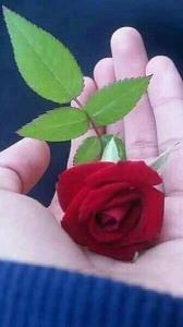 سلام عصرتون بخیر 😊