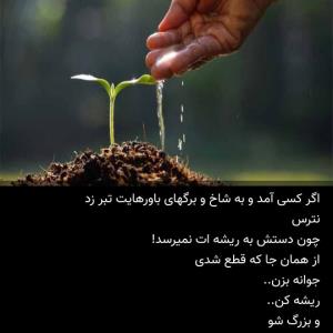 سلام صبح زیباتون بخیر 🌹🌹🌹
