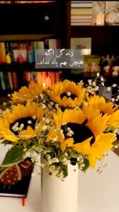 ‌
 
براے خودت باش" 
براے دلت زندڪَے ڪن
و اجازه نده آدم کپشنی