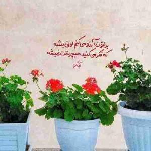 آدم باید ضربه بخوره، زمین بخوره، زخمی بشه، تجربه کنه،

یاد بگیره و بفهمه همه مهربونیا بی‌قصد و غرض و همیشگی نیستن

تا بفهمه توقع نداشته باشه از هیچکس

تا نقاب بزنه و آدم‌های نقاب دار رو تشخیص بده.

آدمی که توی پَر قو بزرگ شده باشه توی دنیا تنهایی دووم نمیاره