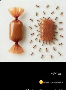 بدون تعارف ، باحجاب و بی حجاب😴