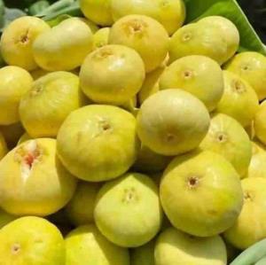 اول صبح جاتون حسابی خالی هست 
