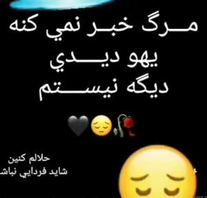 مرد جنوب 