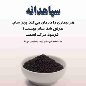 تولستوی یه جمله قشنگ داره که میگه: 
«همه چیز برای کسی که می‌داند چگونه صبر کند، به موقع اتفاق می‌افتد!»
خلاصه که آروم باش، ببین، بشنو، بگذر، خرده نگیر و یادت بمونه که گاهی صبر خودِ تلاشه...