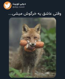 🐰
