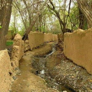 میدونی ایراد بعضی از آدماچیه ...