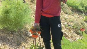 جاشیرزار روستای قرخلو ابرج(امیرسام اسکندری)