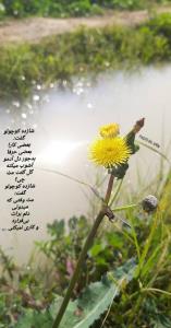 شازده کوچولو گفت....:❣