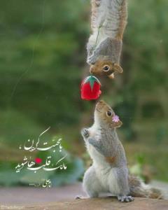 محبت کردن 