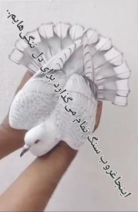 غروب‌‌ِمینیاتوری🕊🕊