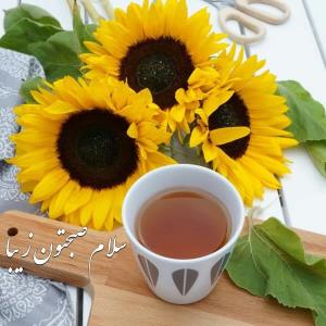 سلام صبح بخیر روزیتان فراوان دلتان خش