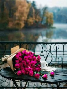خوش خبرباشی ای نسیم شمال که به مامیرسدزمان وصال