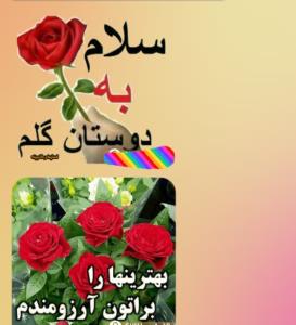 سلام صبح یکشنبه تون گلباران دوستان خبری ✋️🌹🌹🌹🌹🌹