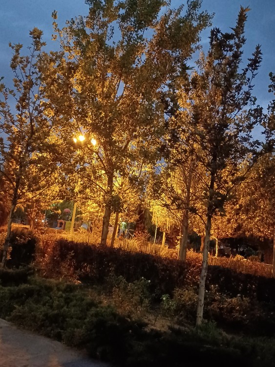هوا شبیه  پاییزه 