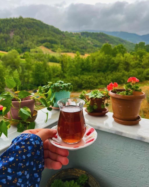 ‍ 🌷سـ✋ـلام 
☀️صبح یکشنبه‌تون پراز موفقیت ☕️🌺

