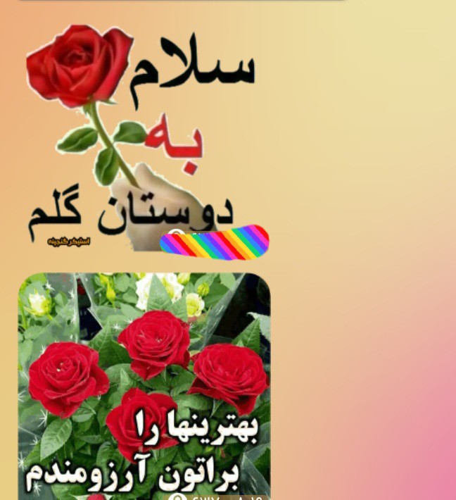 سلام صبح یکشنبه تون گلباران دوستان خبری ✋️🌹🌹🌹🌹🌹