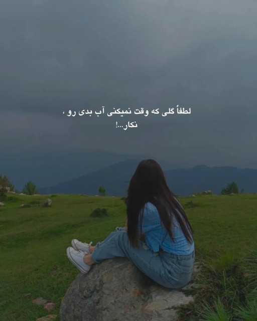 لطفاً......