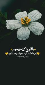 🌼