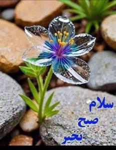 سلام صبح بخیر