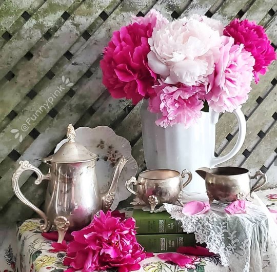 سلام صبحتون بخیر🌈🌈🌈☕☕💐💐💐❤